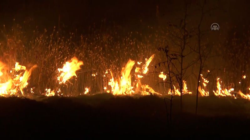 Severní Makedonie vyhlásila kvůli požárům nouzový stav, Bulharsko má dva mrtvé